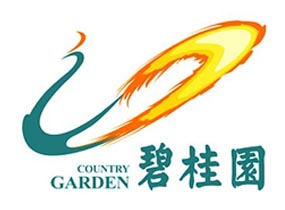 合作伙伴